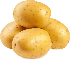 Patates